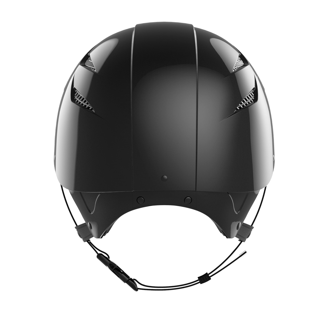 EASY-EVO-HYBRID-BLACK-SHINY-BACK